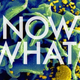 Illustration for article titled Doctors have cured a baby with HIV — heres what comes next